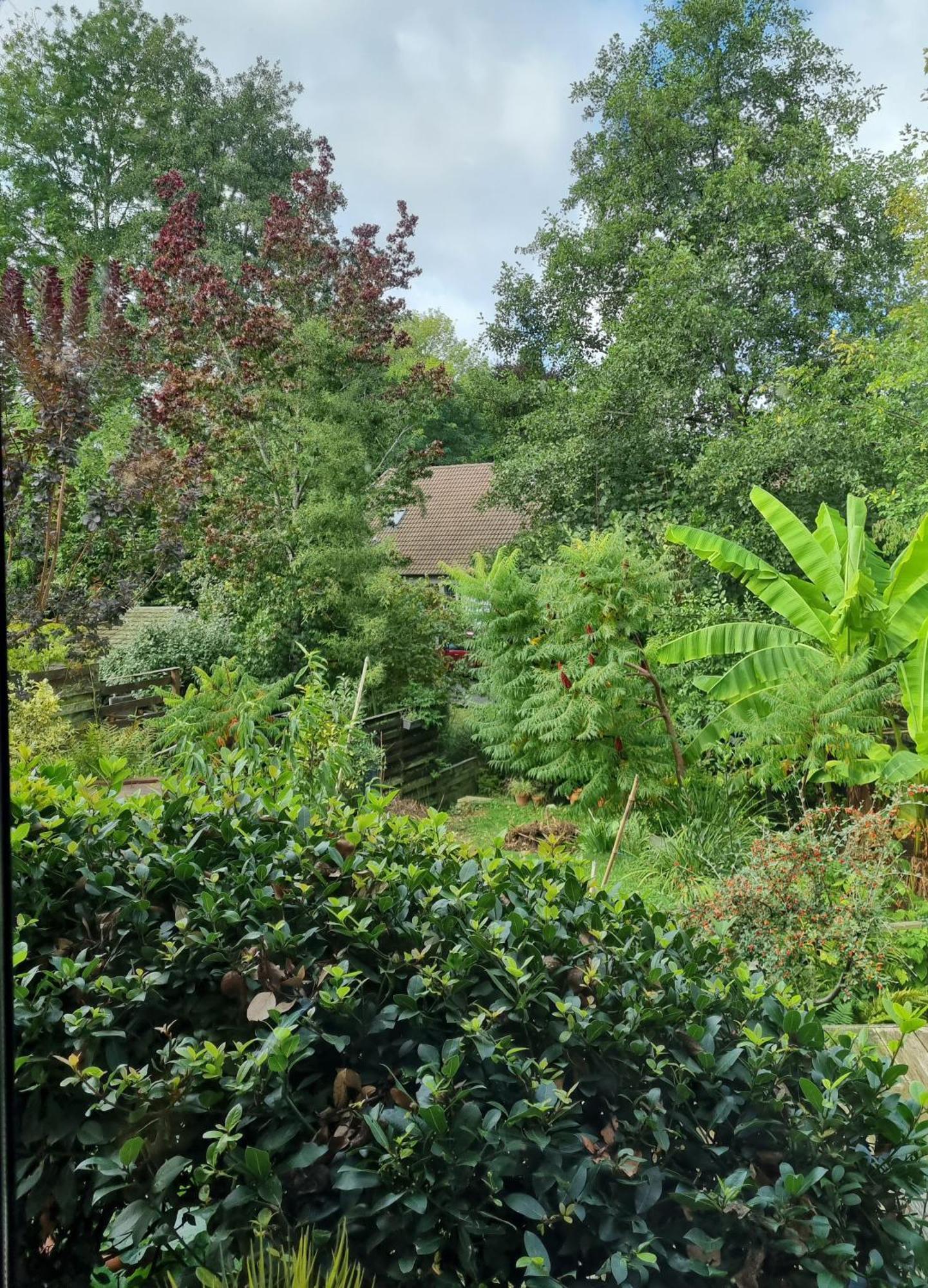 Belle Maison D'Art Verdoyante & Jardin Saint-Remy-les-Chevreuse Luaran gambar