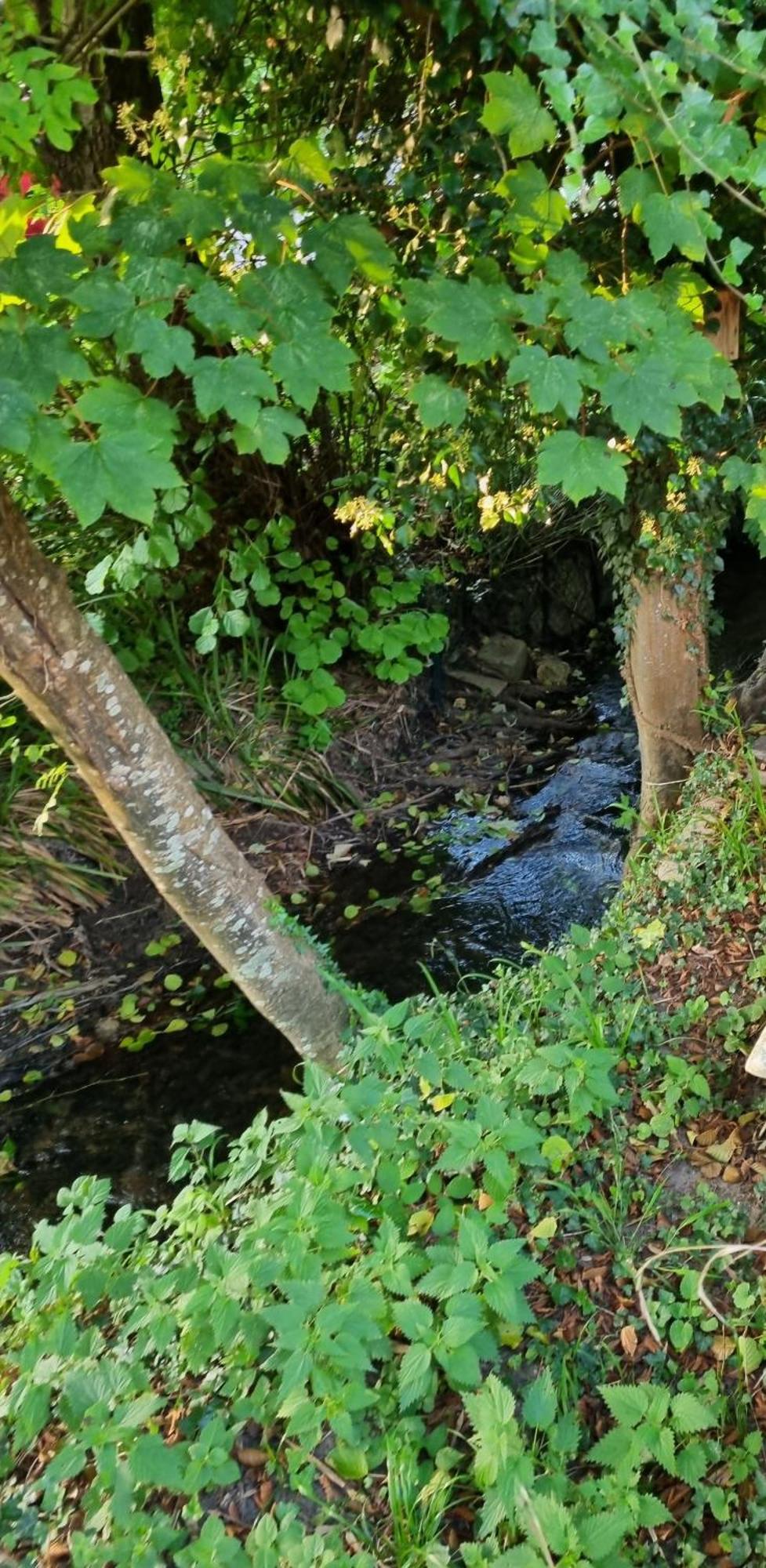 Belle Maison D'Art Verdoyante & Jardin Saint-Remy-les-Chevreuse Luaran gambar