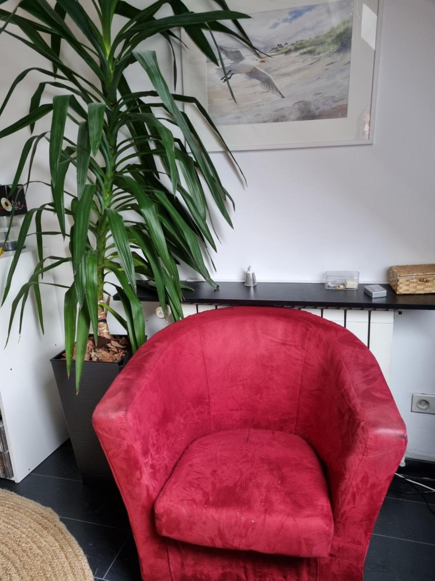 Belle Maison D'Art Verdoyante & Jardin Saint-Remy-les-Chevreuse Bilik gambar